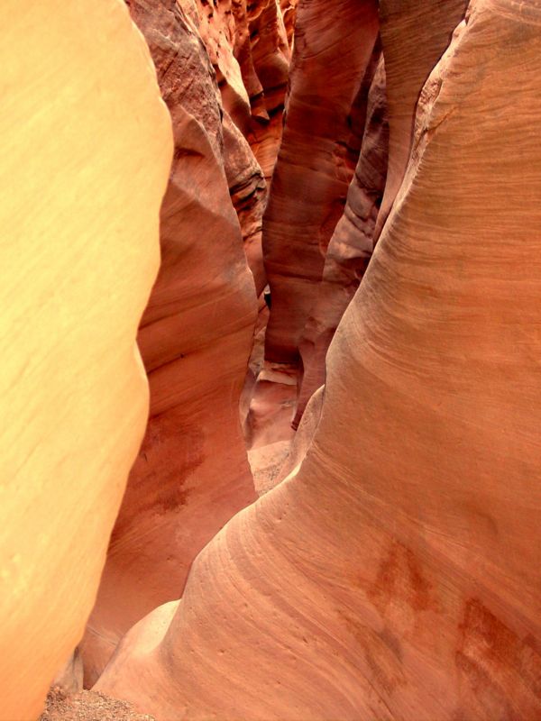 04160302LittleWildHorse (1066)